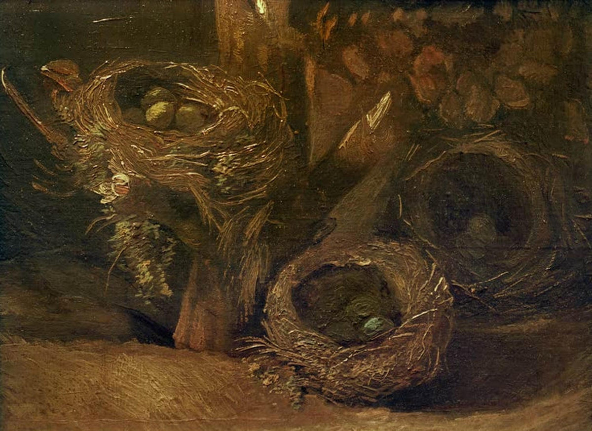 Kunstdruck „Stilleben mit drei Vogelnestern“ von Vincent van Gogh – feines Stillleben mit Vogelnestern als hochwertiger Kunstdruck, auf Leinwand oder Poster, wahlweise gerahmt.