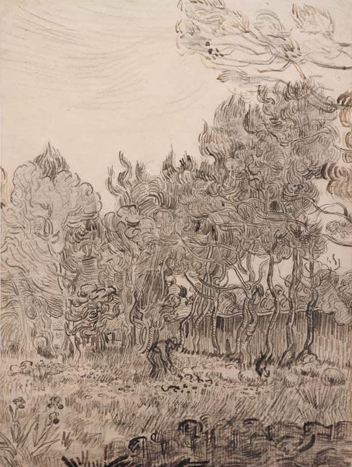 Im Park der Heilanstalt von Vincent van Gogh – ruhige Parklandschaft mit Bäumen und Wegen, als hochwertiger Kunstdruck auf Poster oder Leinwand erhältlich.