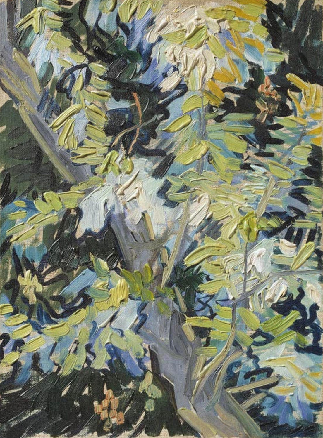 Blühender Akazienzweig von van Gogh
