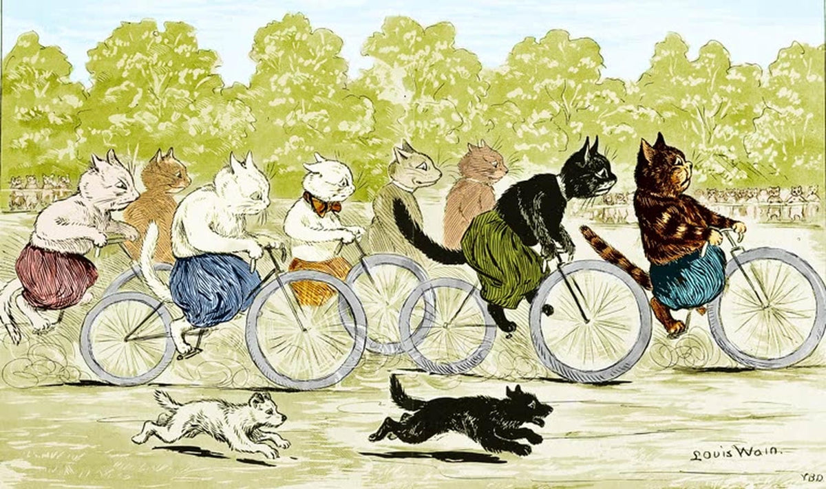 "Katzen beim Fahrradrennen" von Louis Wain – humorvoller Katzen Kunstdruck auf Leinwand oder Fine Art Papier