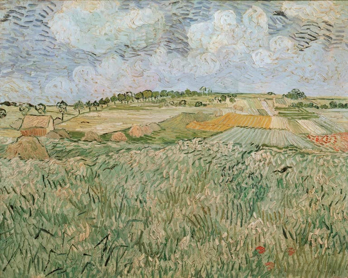 Die Ebene bei Auvers mit Regenwolken von Vincent van Gogh