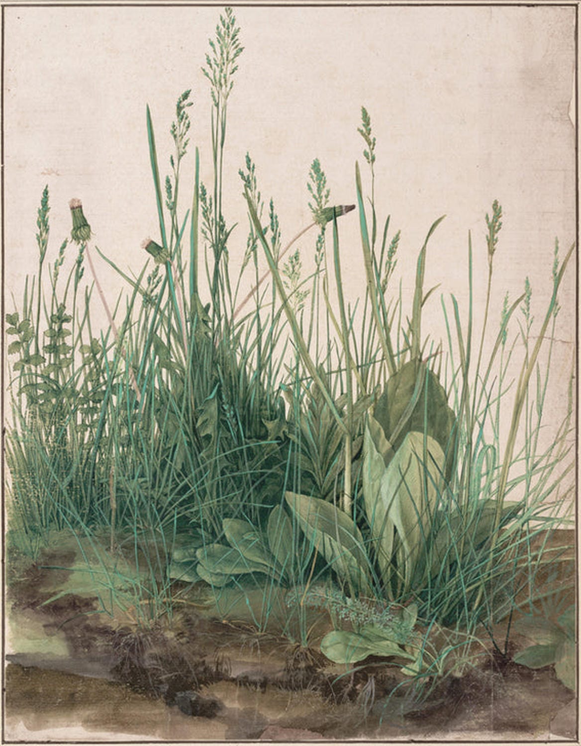 Kunstdruck „Das große Rasenstück“ von Albrecht Dürer – naturgetreue Renaissance-Studie mit filigranen Pflanzenmotiven. Detailreiche Kunstreproduktion für Liebhaber klassischer Werke.
