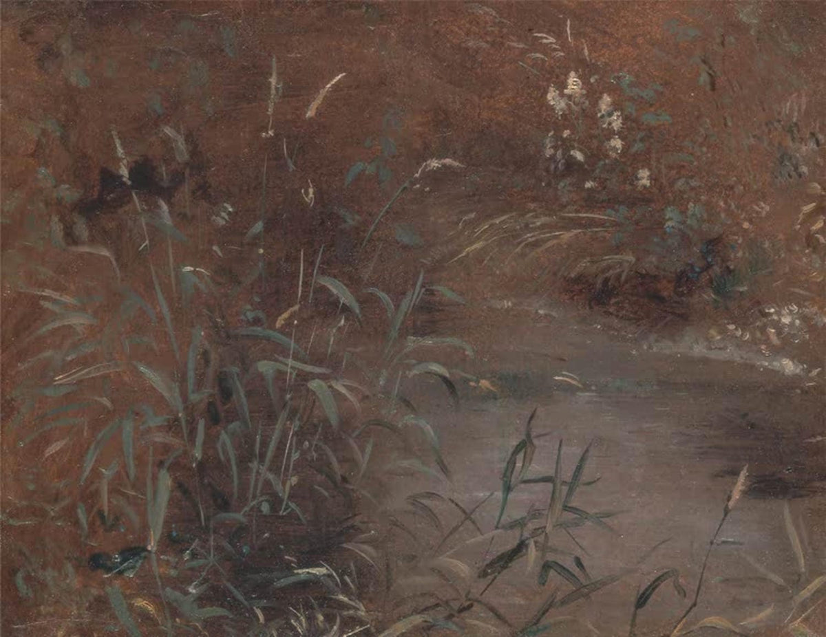 Aalweiher Eel Pie Pool Kunstdruck John Constable Naturstudie