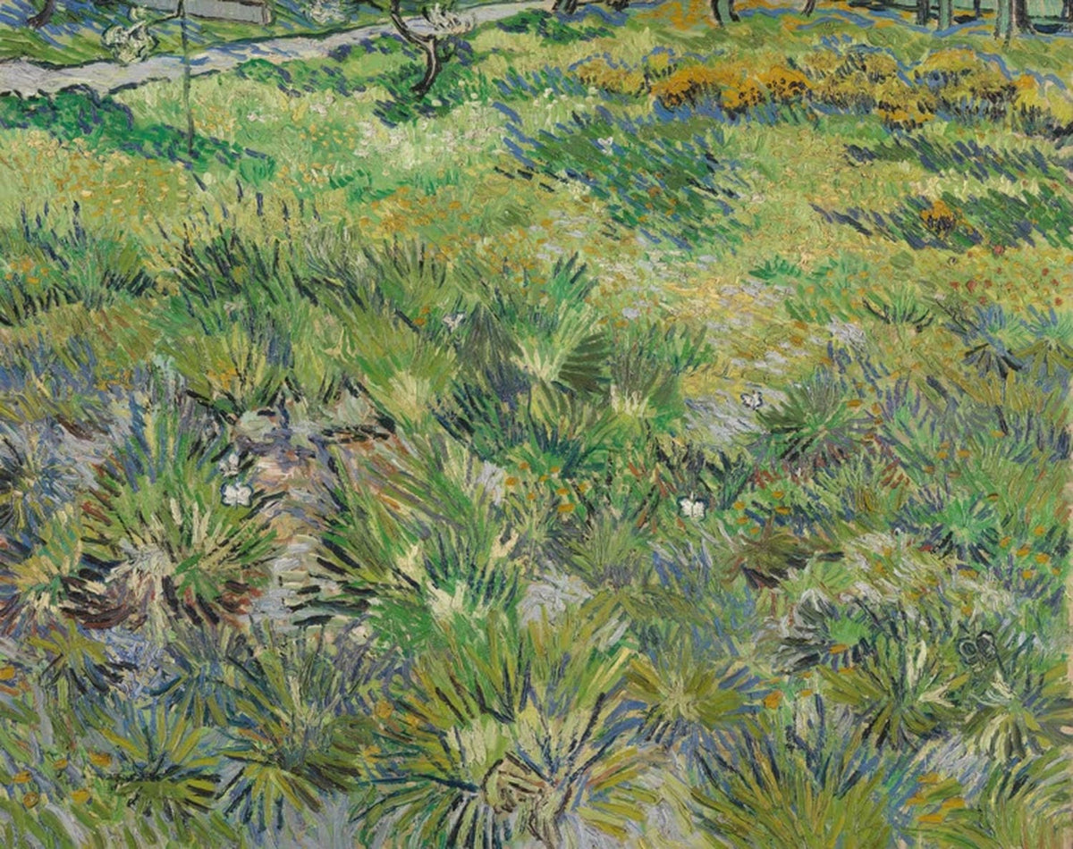 Wiese im Garten des Hospitals Saint-Paul von Vincent van Gogh