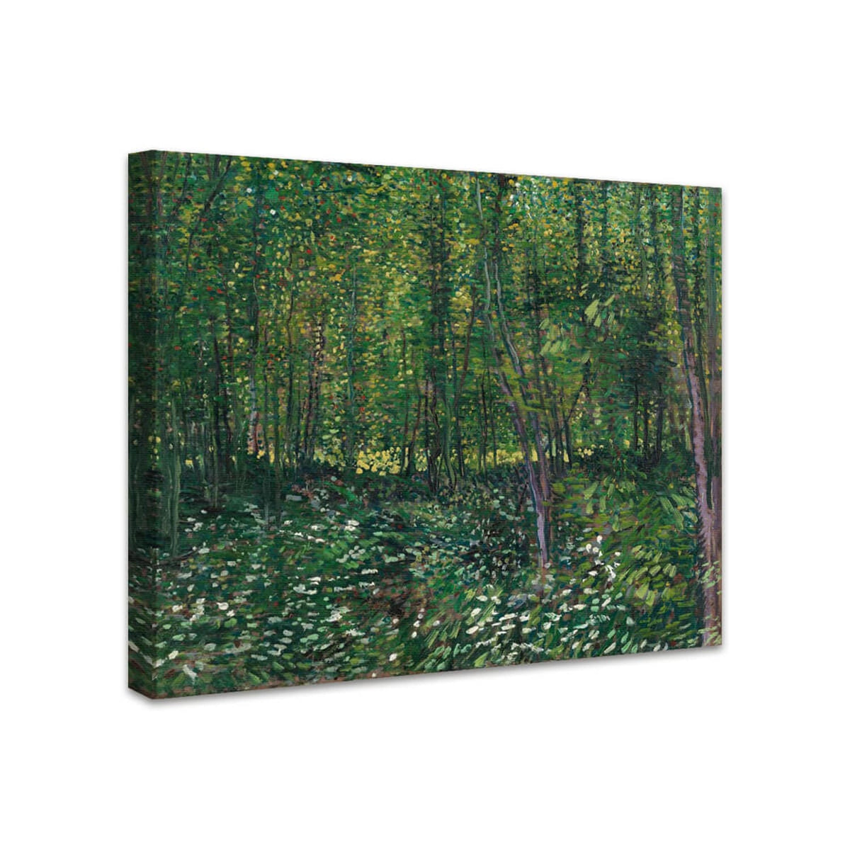 Bäume und Unterholz | Vincent van Gogh