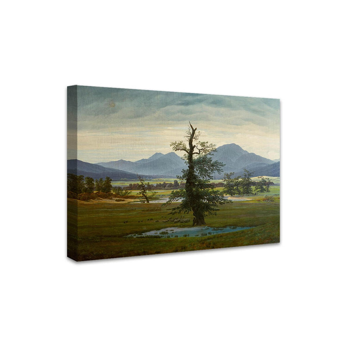Der einsame Baum Caspar David Friedrich perspektivisch dargestellt auf Leinwand