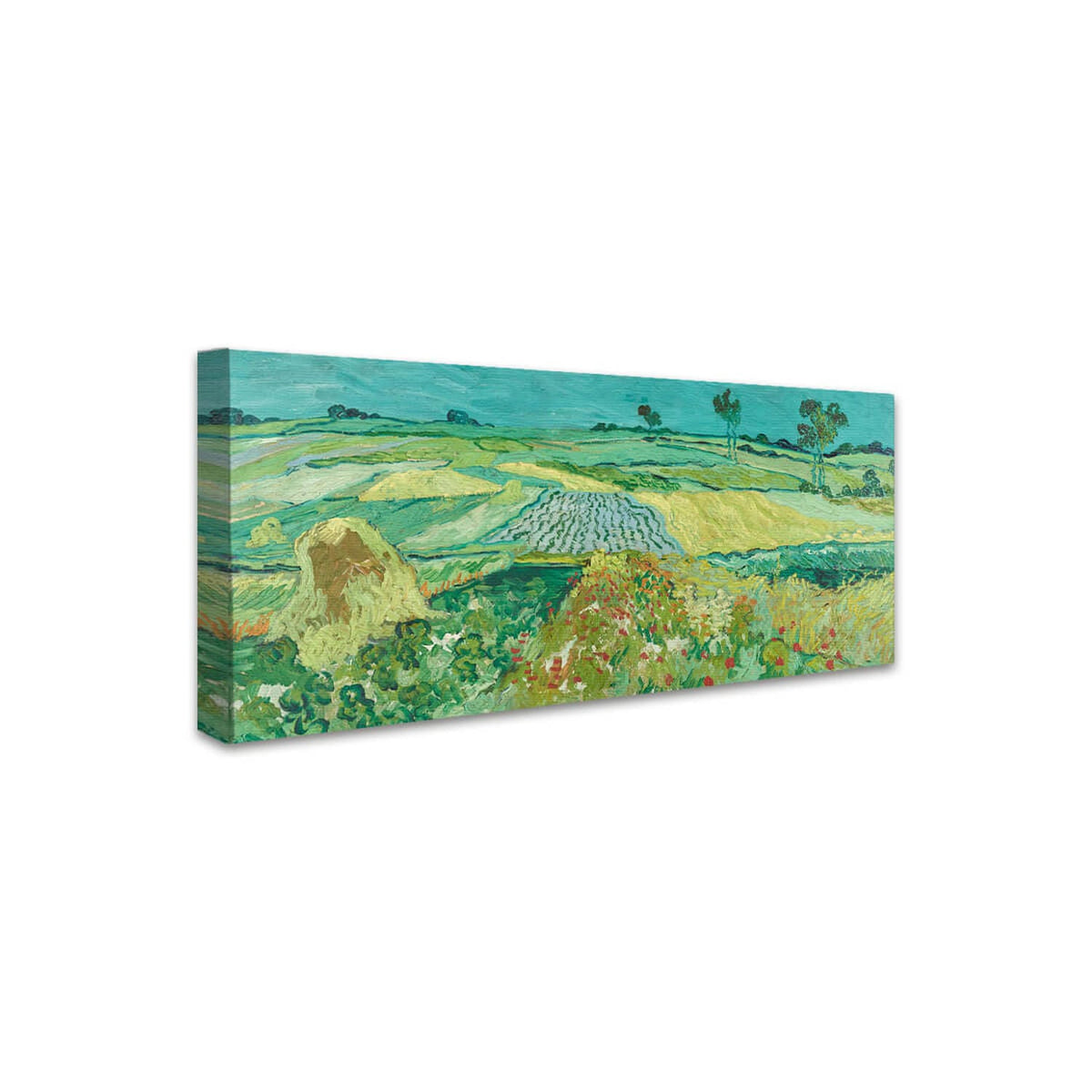 Die Ebene von Auvers | Vincent van Gogh