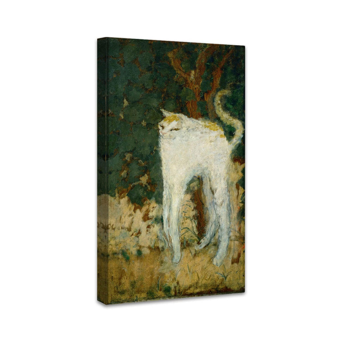 Die weiße Katze | Pierre Bonnard