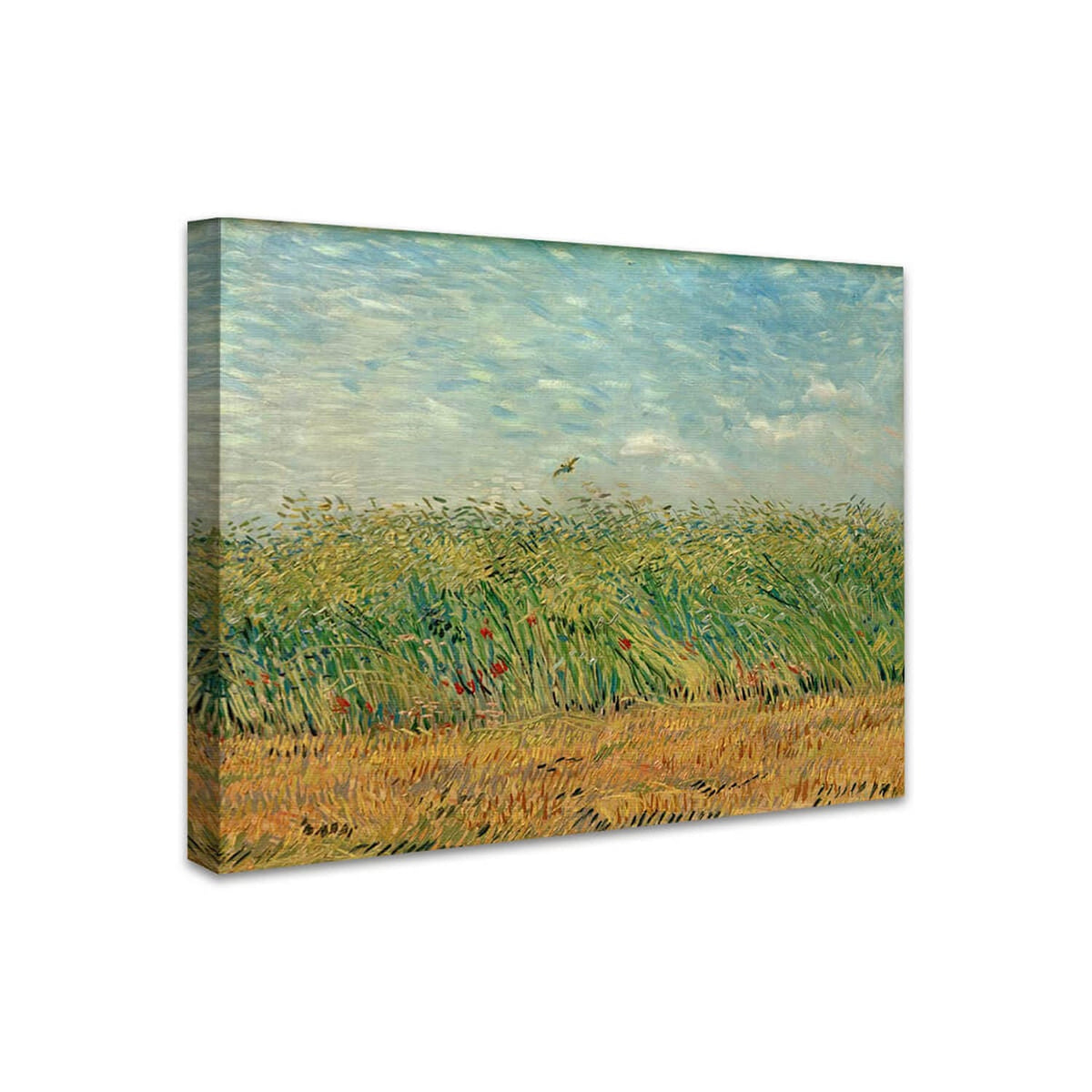 Getreidefeld mit Mohnblumen und Rebhuhn | Vincent van Gogh