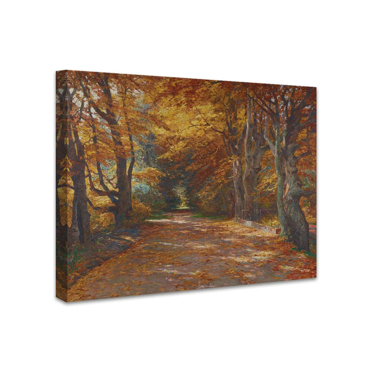 Praterallee im Herbst | Olga Wisinger-Florian