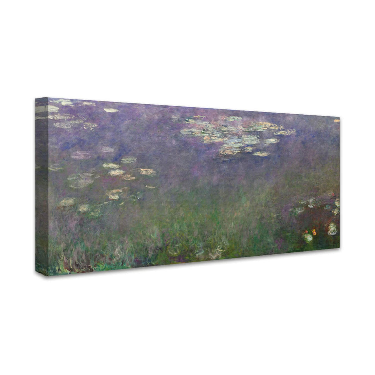 Seerosen (Agapanthus) | Claude Monet