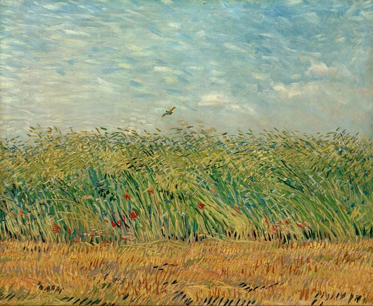 Vincent van Gogh Getreidefeld mit Mohnblumen vor blauem Himmel und Rebhuhn als Kunstdruck