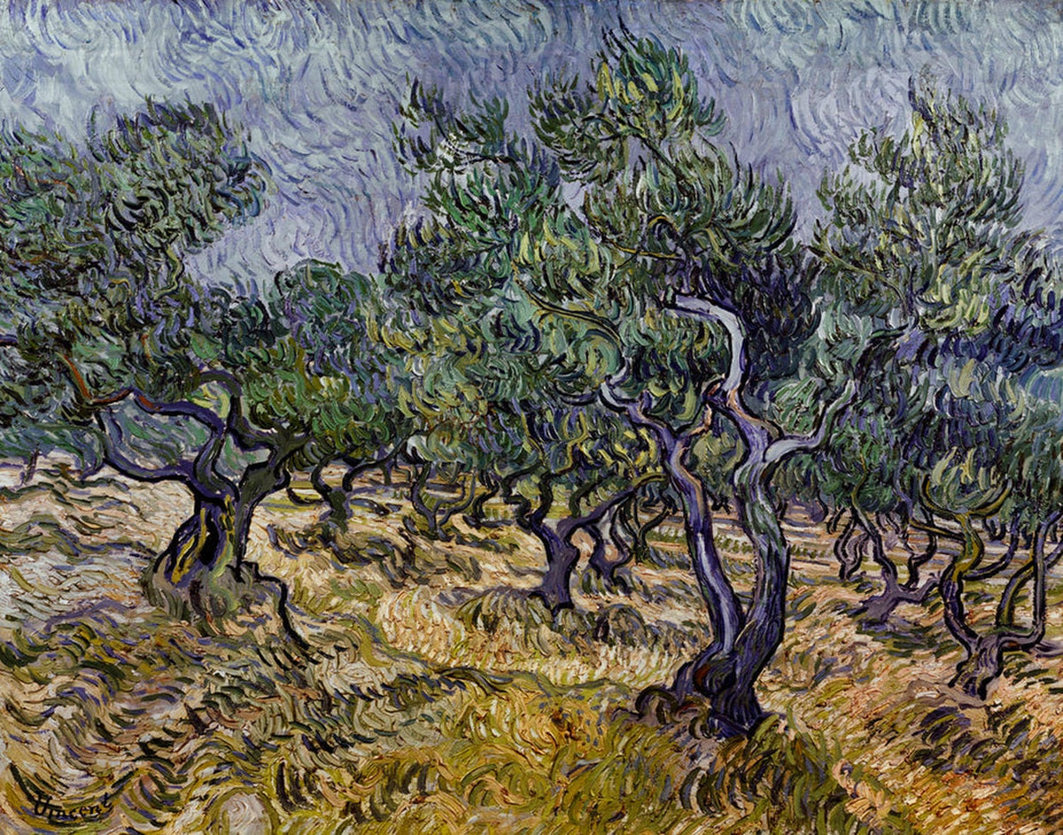 Leuchtender Olivenhain in expressivem Stil mit bewegten Bäumen und hellem Himmel, gemalt von Vincent van Gogh.