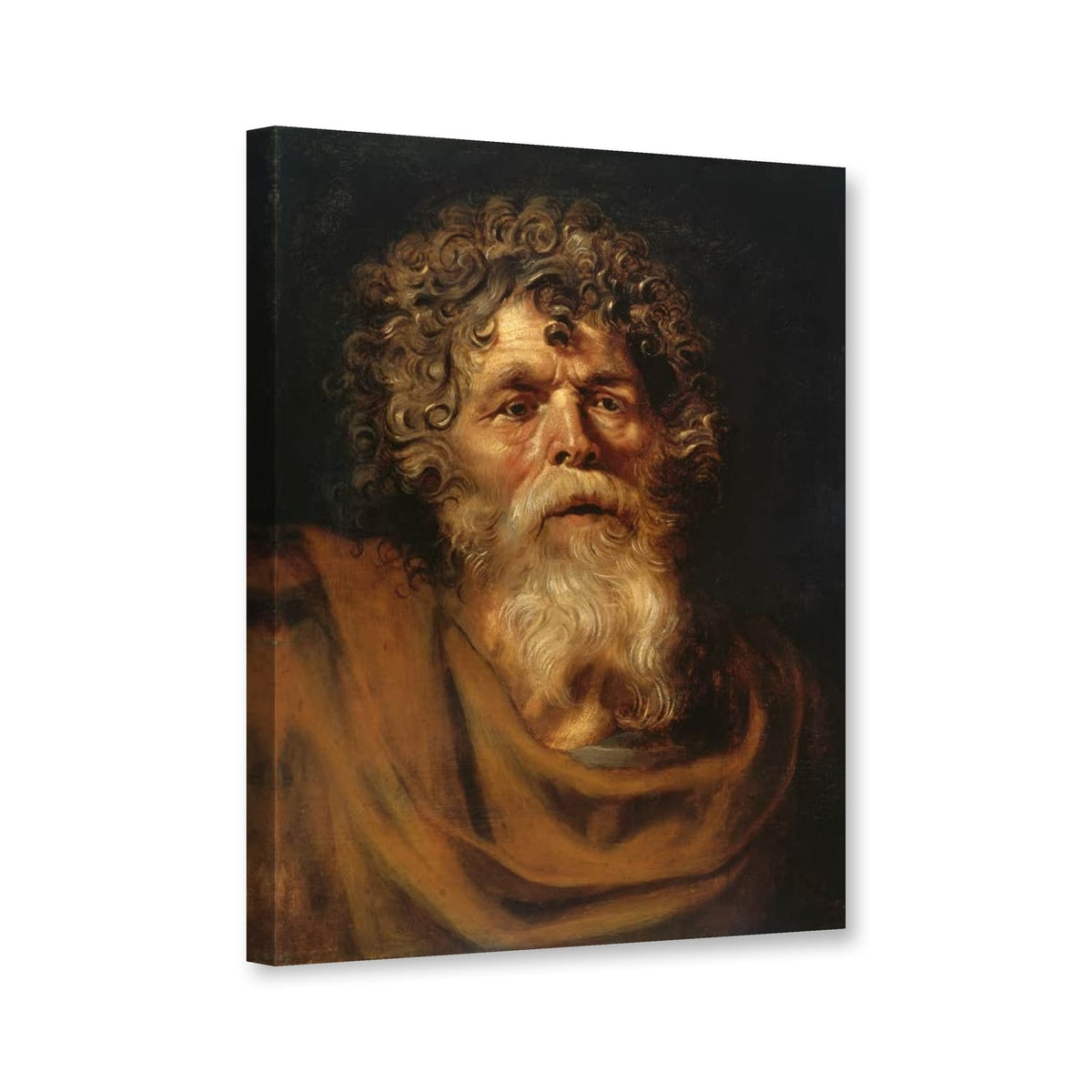 Bildnis eines bärtigen alten Mannes von Peter Paul Rubens als Leinwand – Perspektivansicht