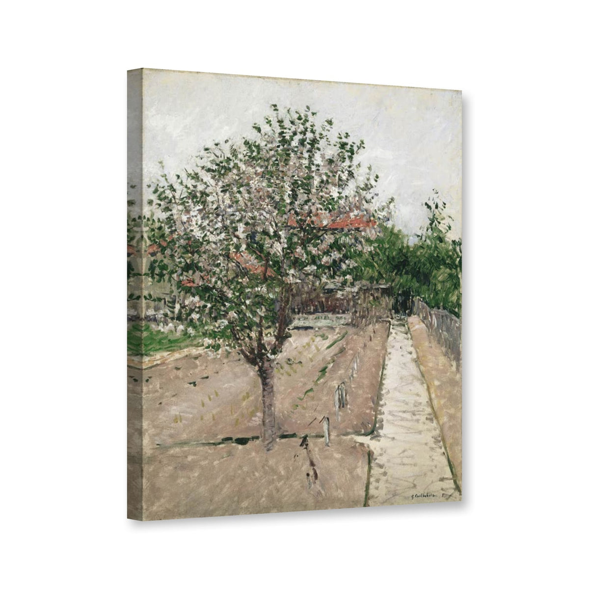Blühender Apfelbaum von Gustave Caillebotte als Leinwand – Perspektivansicht