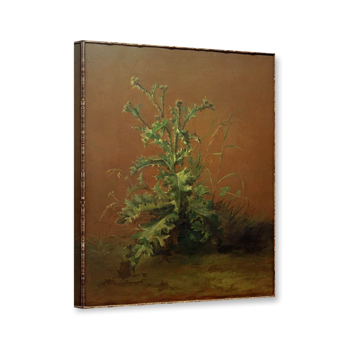 Die Distel von Édouard Manet als Leinwand – Perspektivansicht