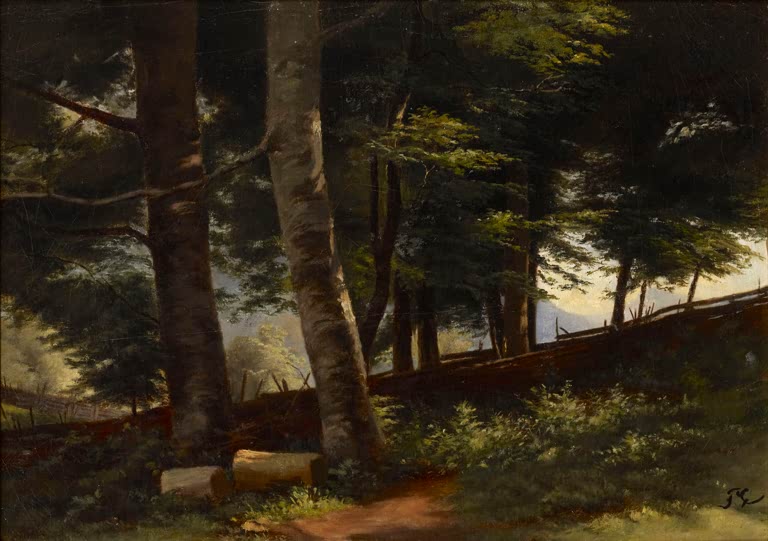Inside the Forest