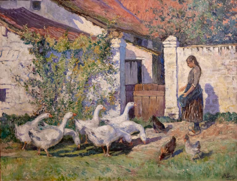 Geese on the farm