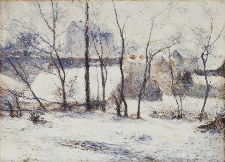 Garden under Snow