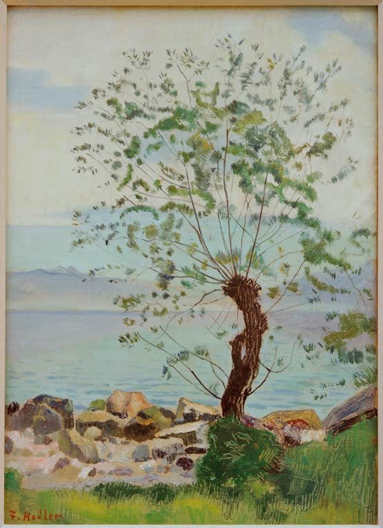 Weidenbaum am See
