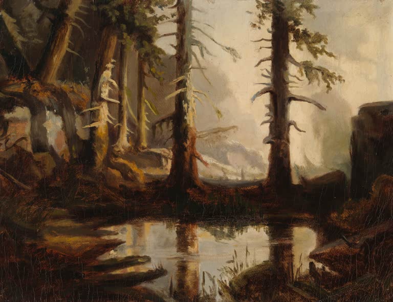 Metsälampi