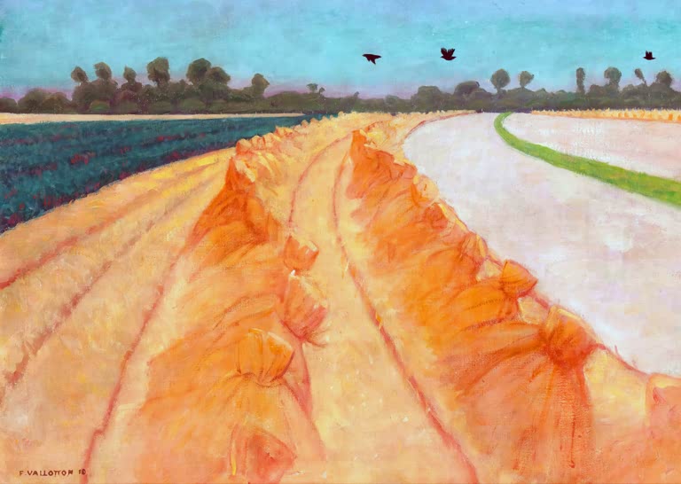 Félix Vallotton Kornfeld mit Garben und drei Krähen Kunstkopie, orangefarbene Getreidegarben in Reihen unter blauem Himmel