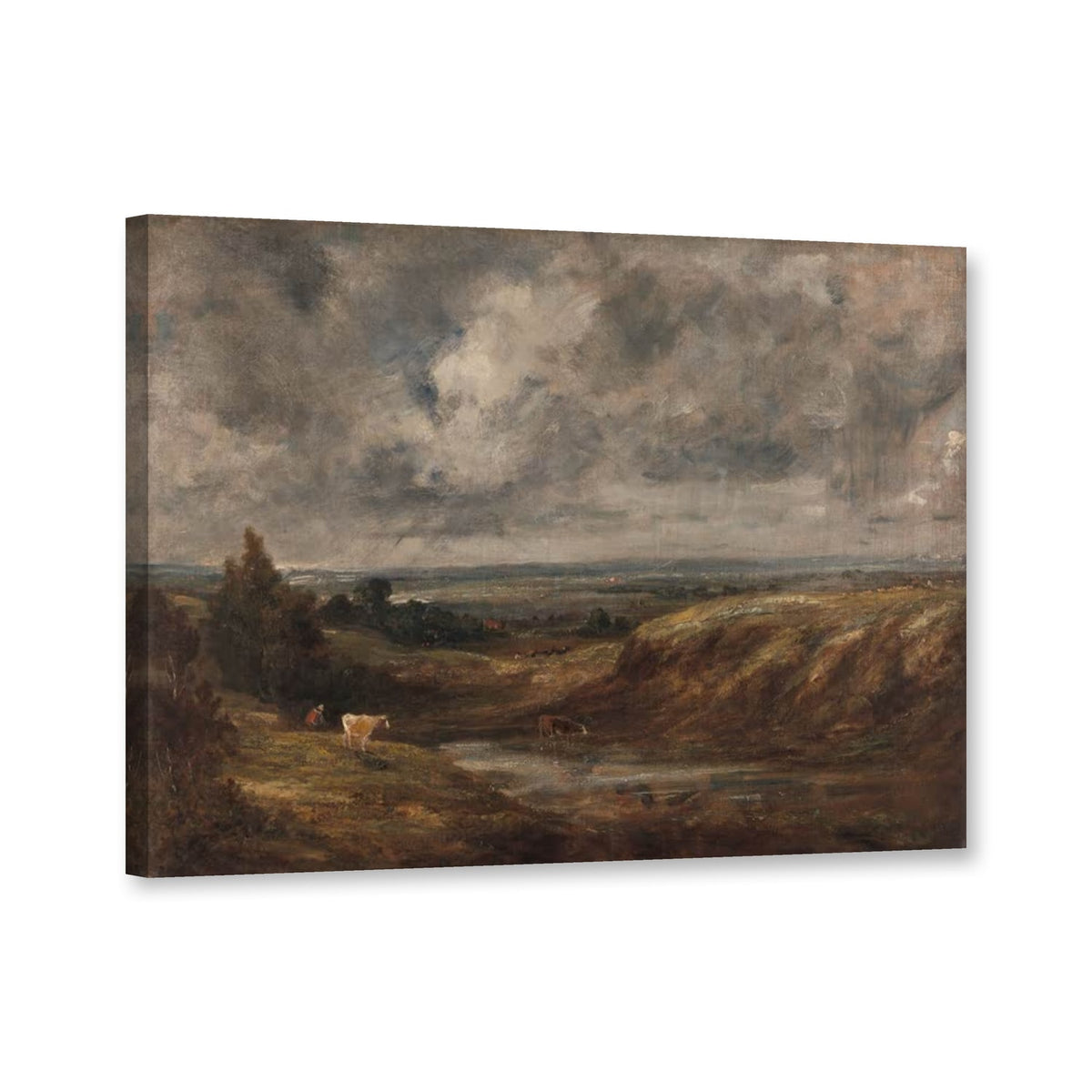 Hampstead Heath mit Kühen am Teich von John Constable als Leinwand – Perspektivansicht