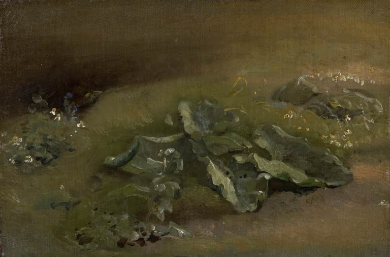 Großblättrige Pflanze im Gras am dunklen Boden mit kleinen weißen Blüten – John Constable Distelstudie Kunstkopie
