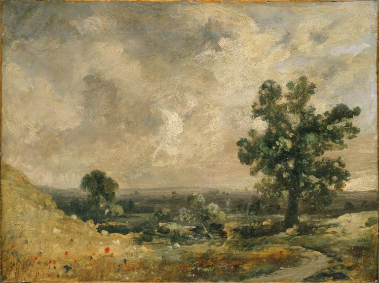 Eiche und Mohnblumen am sonnigen Hang mit weitem Ausblick unter Wolken – John Constable Englische Landschaft Kunstkopie