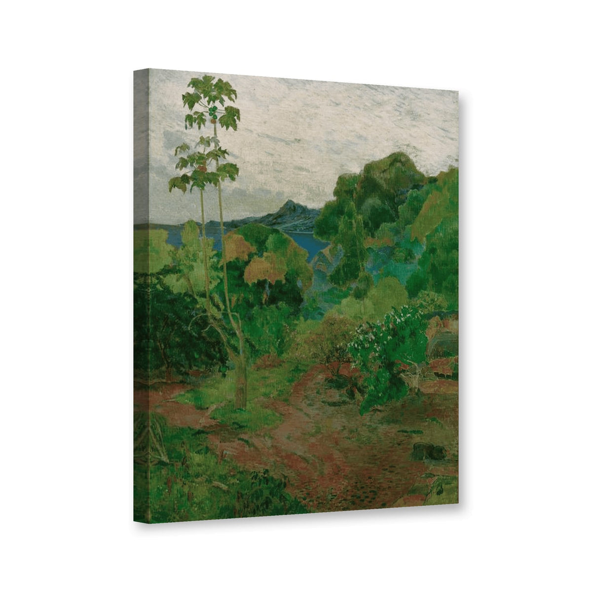 Landschaft auf Martinique von Paul Gauguin als Leinwand – Perspektivansicht