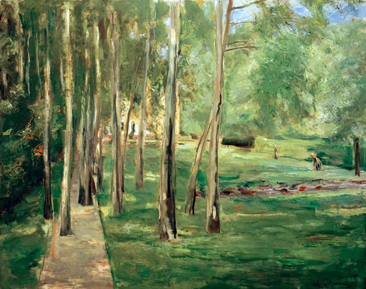 Birkenstämme im Wannseegarten mit weitem Rasen und Weg im Sommerlicht – Max Liebermann Haus am Wannsee Kunstkopie