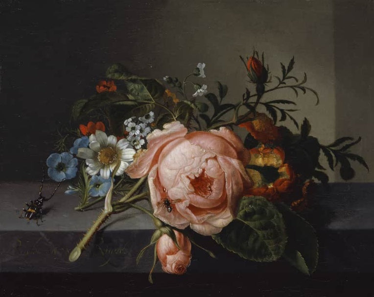 Rachel Ruysch Stillleben mit Rosenzweig, Käfer und Biene Kunstkopie, rosa Rose mit Tautropfen auf einer Steinkante
