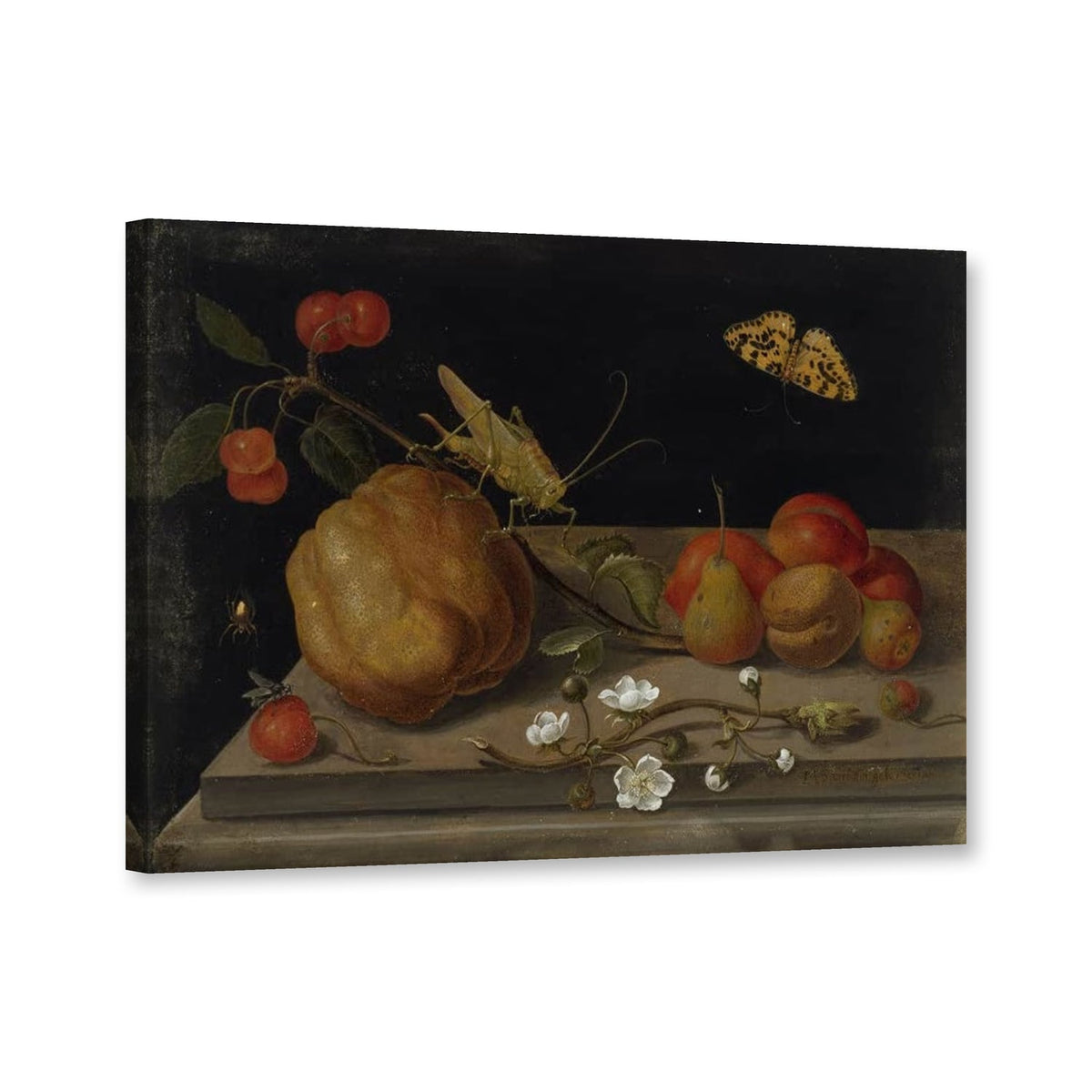 Stillleben mit Früchten, Heuschrecke und Schmetterling von Maria Sibylla Merian als Leinwand – Perspektivansicht